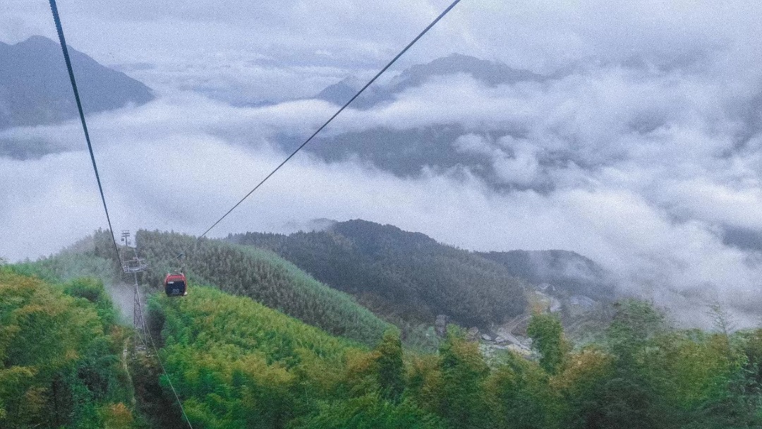 雲和梯田景區