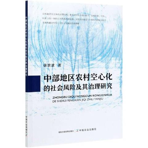 中部地區農村空心化的社會風險及其治理研究