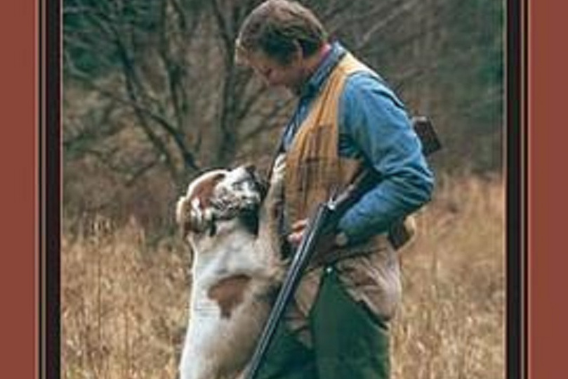 The Ultimate Guide to Bird Dog Training