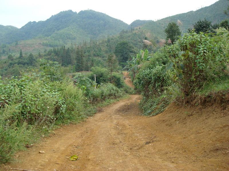 龍旺村(雲南省富寧縣花甲鄉下轄村)