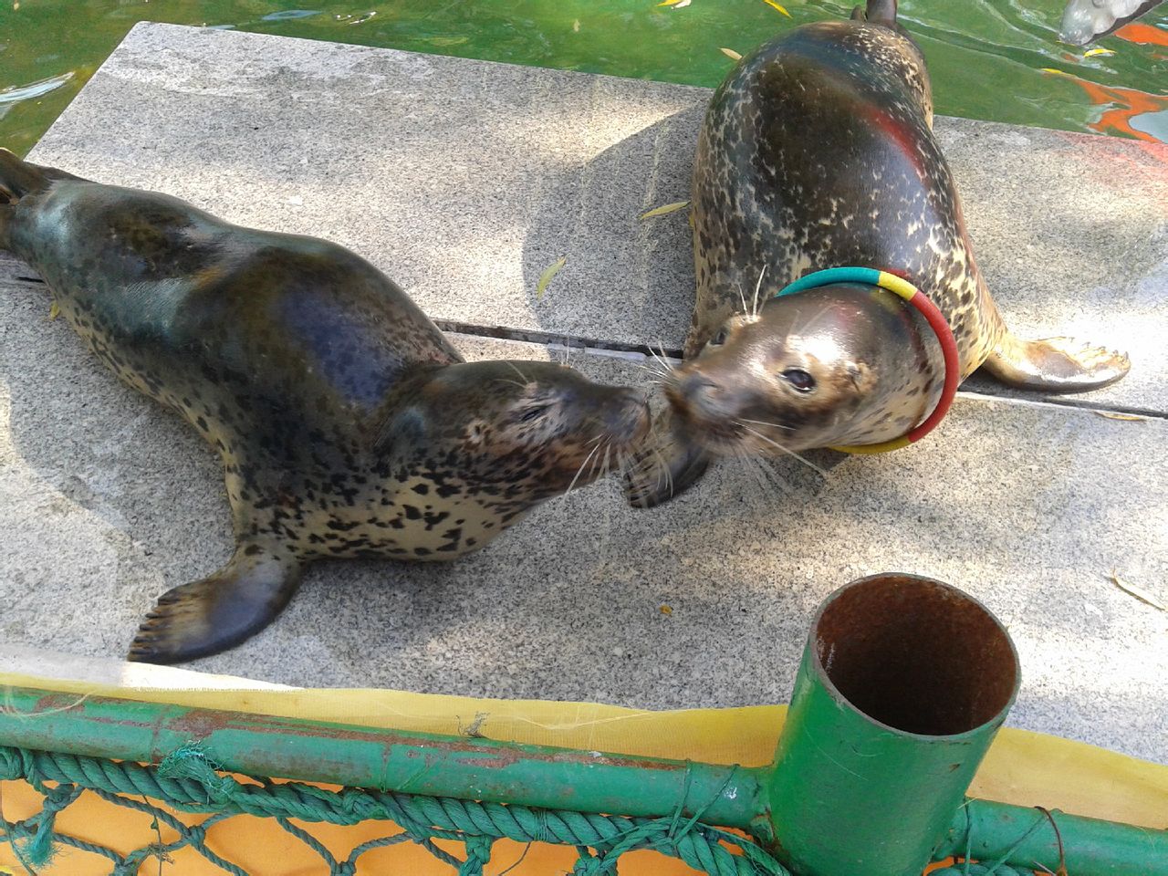 本溪市動物園