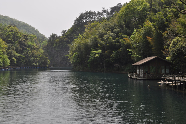 龍池坡森林生態旅遊風景區