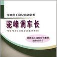 鐵路職工崗位培訓教材：駝峰調車長