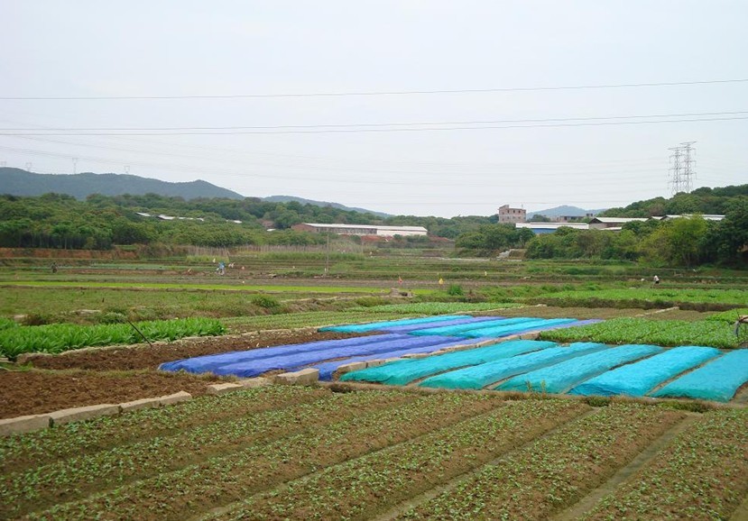 梧坑村