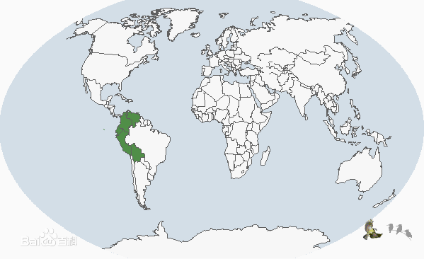安第斯動冠傘鳥分布圖