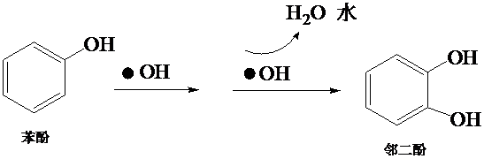 籠內第三步