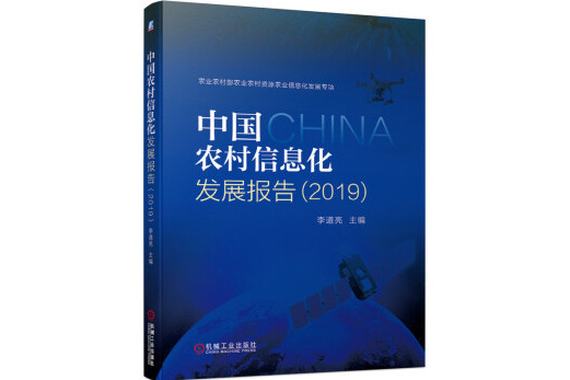 中國農村信息化發展報告(2019)