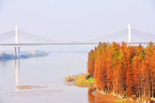 江門—珠海高速公路