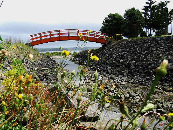 中橋鄉風景