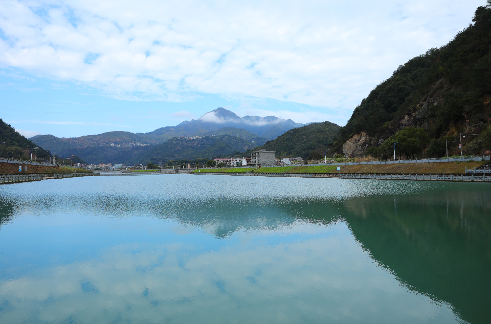 金村(浙江省永嘉縣橋頭鎮金村)