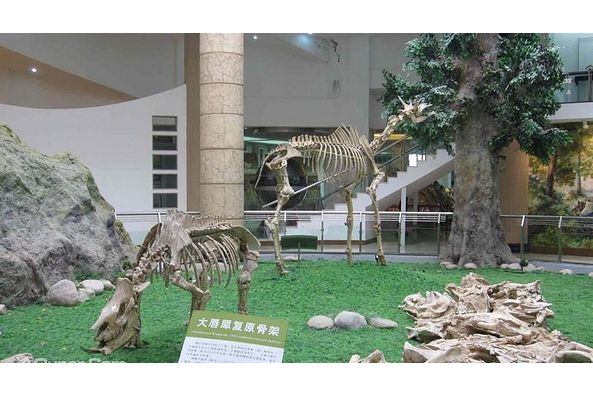 豐寧古生物化石博物館