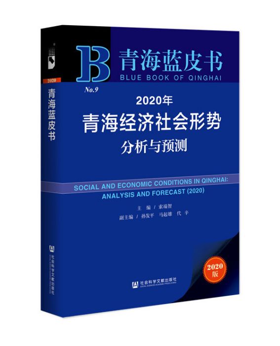 2020年青海經濟社會形勢分析與預測