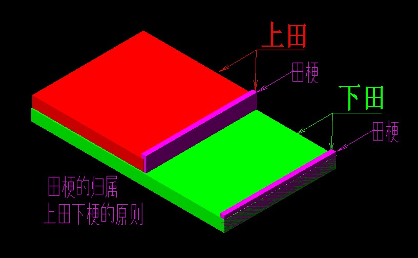 田梗(漢語詞語)