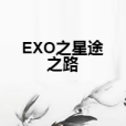 EXO之星途之路