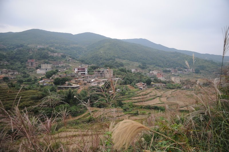 東田農村樓房