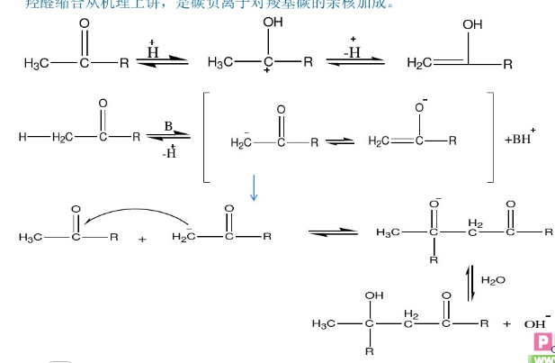 交叉羥醛縮合