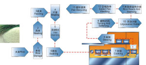 自動米飯生產線工藝流程