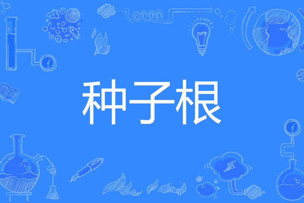 種子根