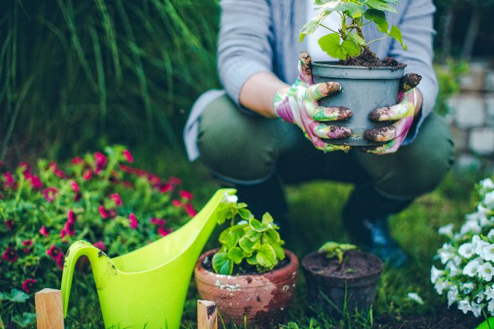 Green fingers