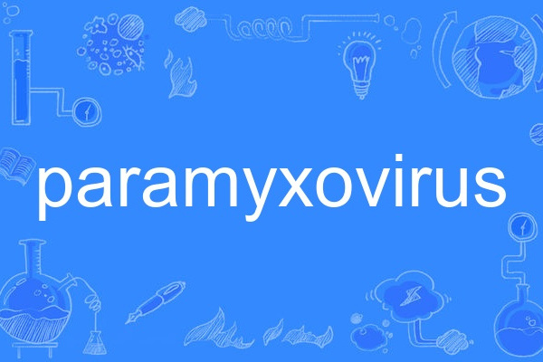 paramyxovirus