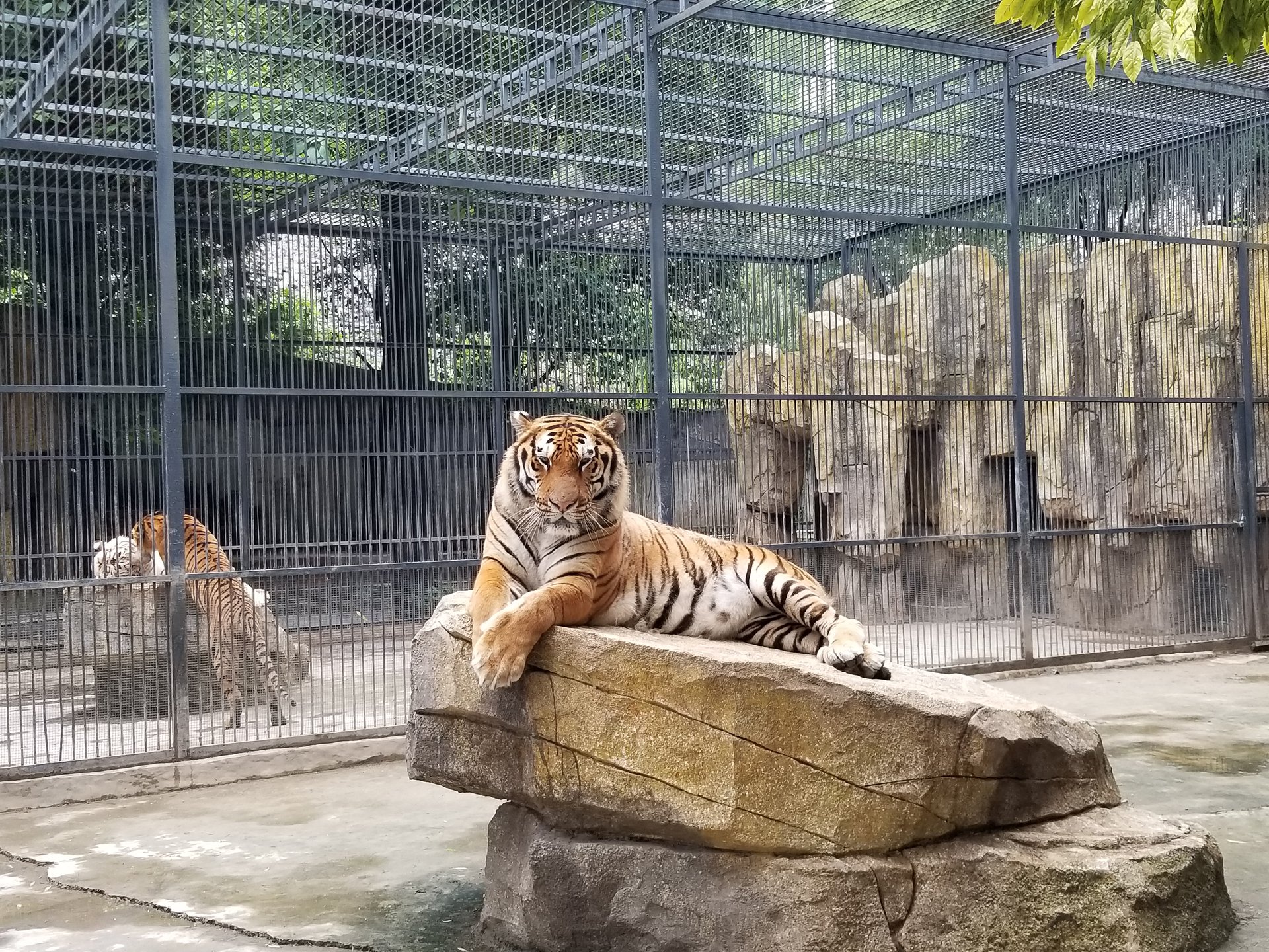 六盤水動物園