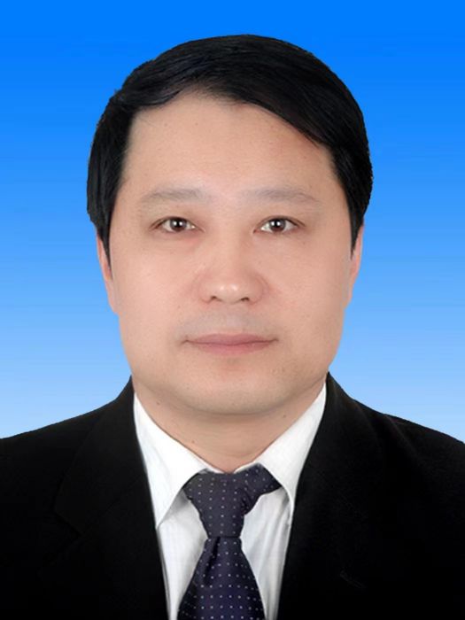 李玉峰(河南省洛陽市伊川縣人民政府副縣長)