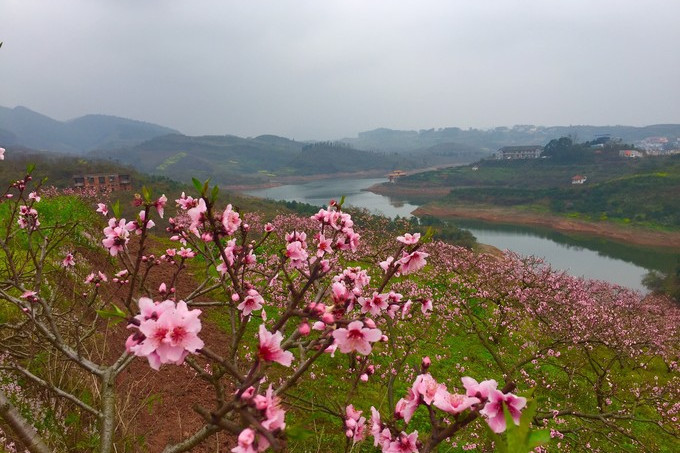 丹稜·桃花源景區