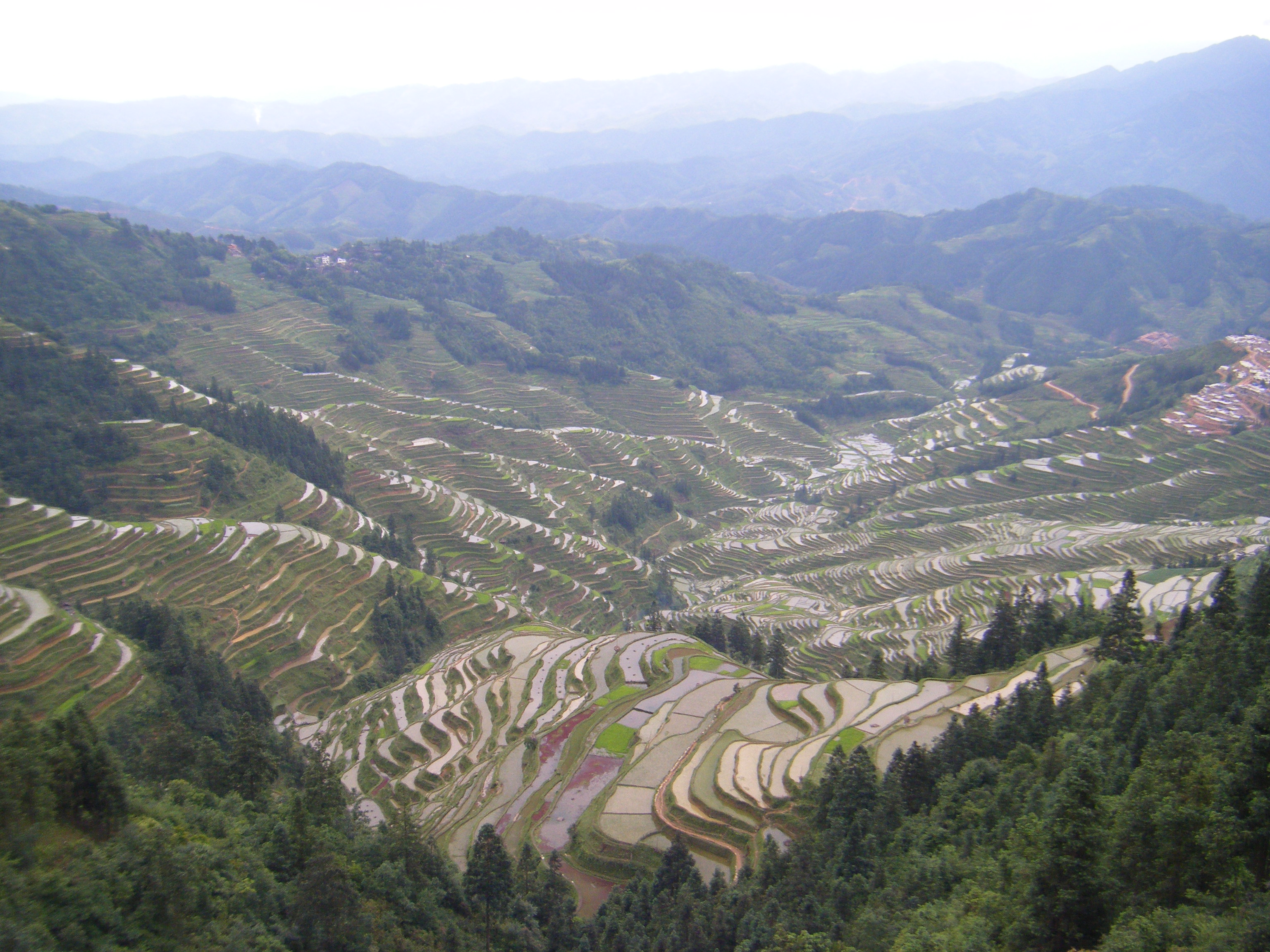 九萬大山景區