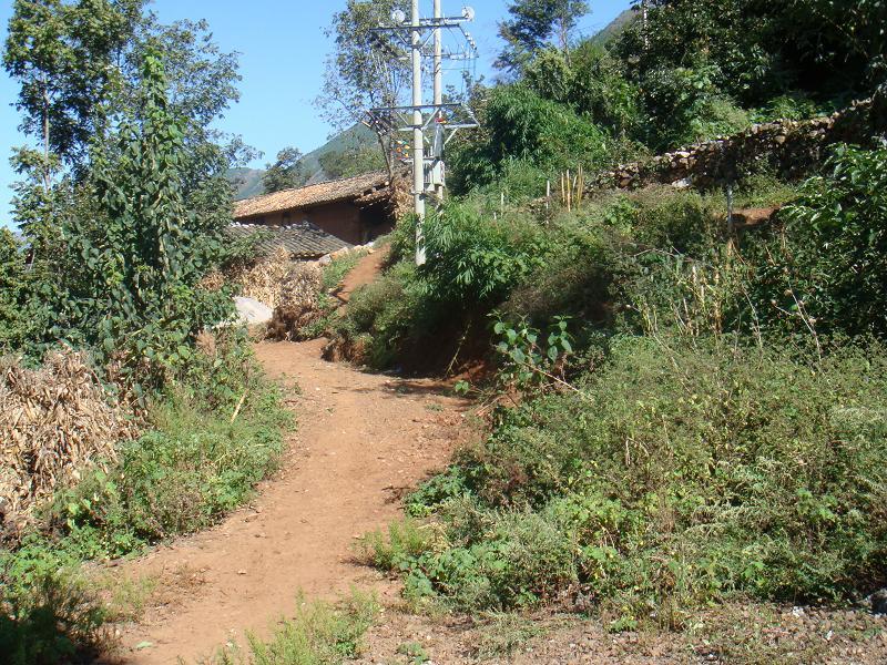 王家沖村(雲南省麒麟區三寶鎮下轄村)