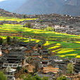 李家坡村(雲南省麗江市玉龍縣石鼓鎮李家坡村)