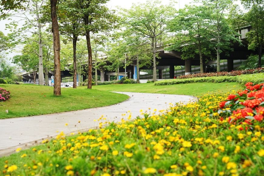 廣州七星崗古海岸遺址科學公園