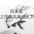 鳳求凰之涅槃鳳凰傾天下