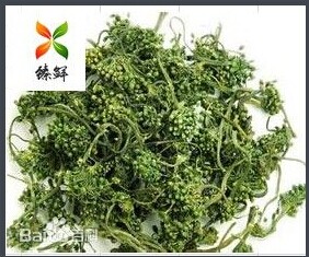 臻鮮人參花茶