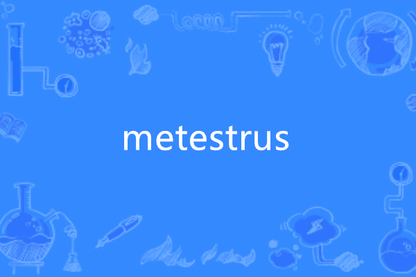 metestrus