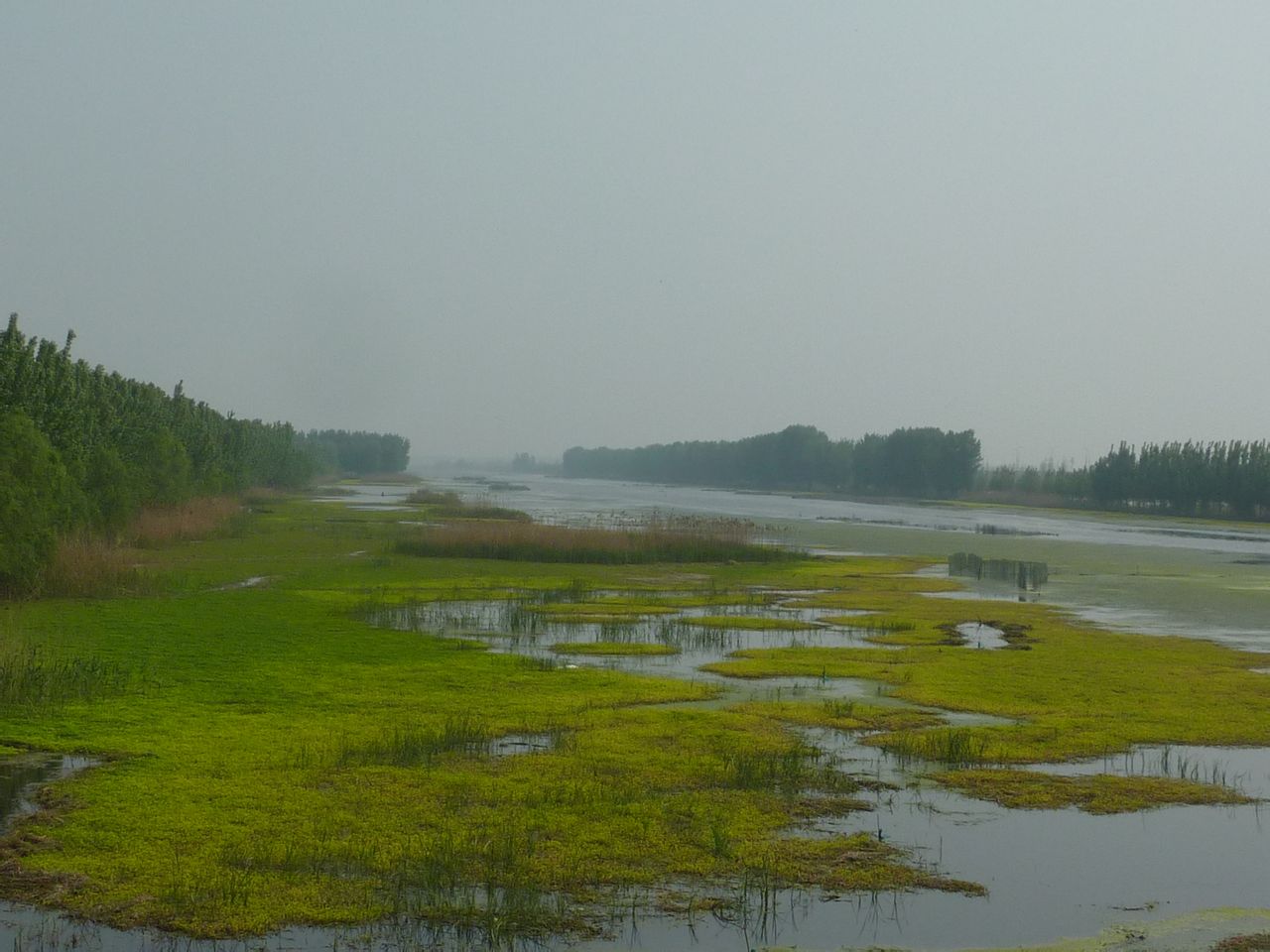 洸府河石佛橋河段景色