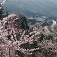 方山國家森林公園