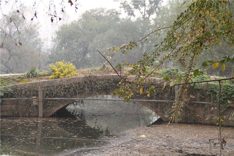 郄坊村橋