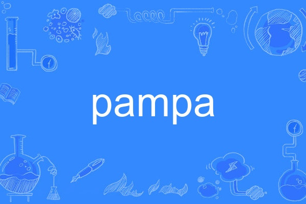 pampa