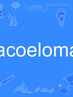 acoelomate