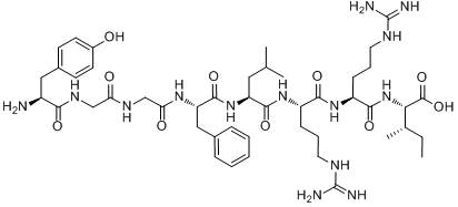 強啡肽1～8片段