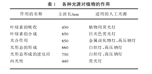 人工照明