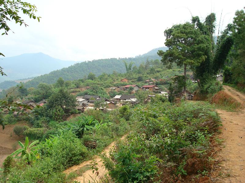 平掌自然村(雲南雙江縣邦丙鄉下轄村)