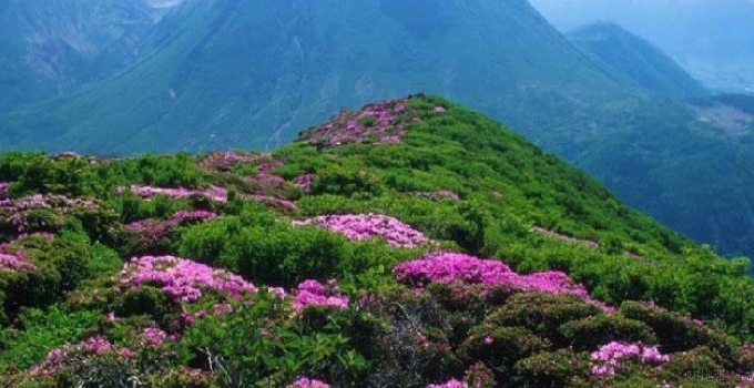 洛口山景區