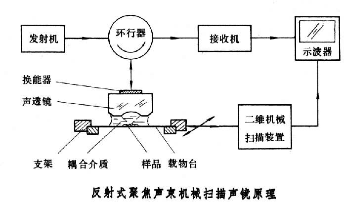 聲掃描顯微鏡