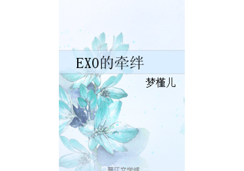 EXO的牽絆