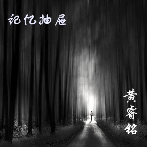 記憶抽屜