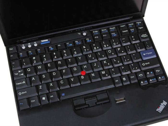 ThinkPad X61 7675L13