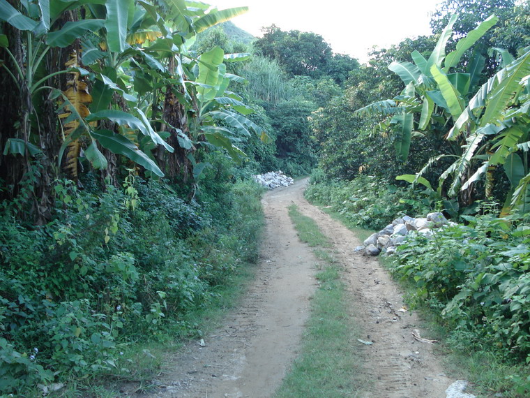 背陰山村(雲南省玉溪新平縣漠沙鎮背陰山村)