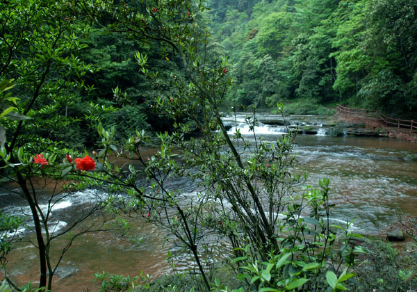 黃荊鄉一景