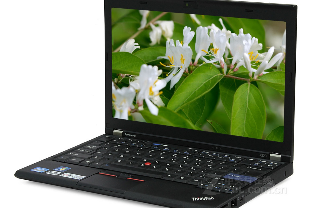 ThinkPad X220i(4286C11)